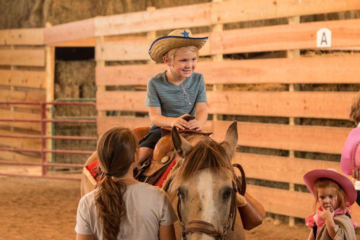Pony Ride Gift Certificate