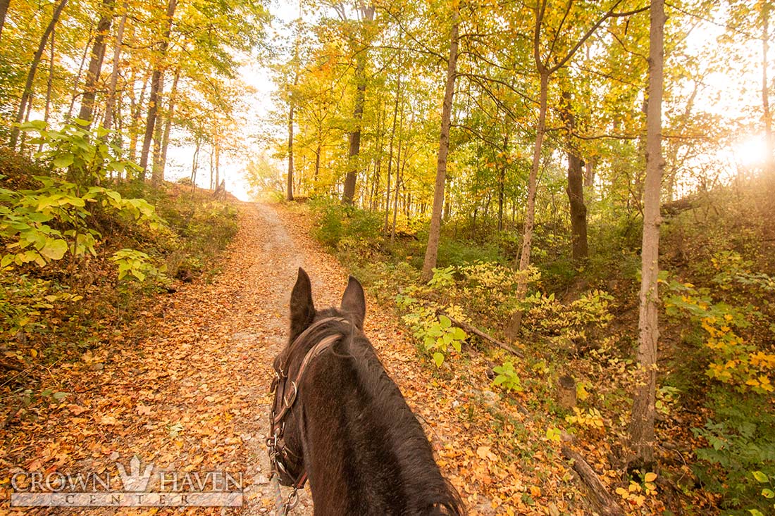 Trail Ride Gift Certificate